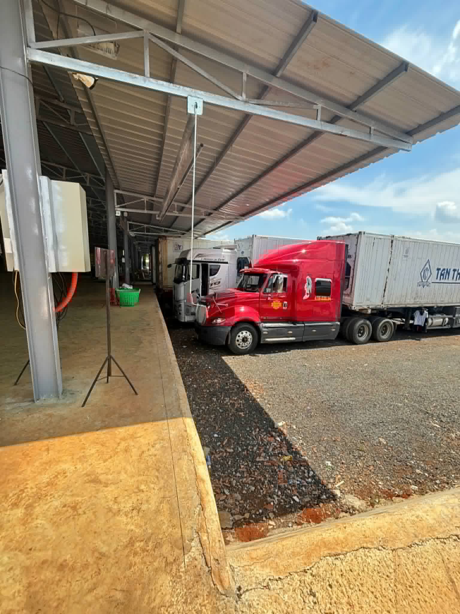 Đội xe container lạnh vận chuyển sầu riêng xuất khẩu của Đà Lạt HB Farm